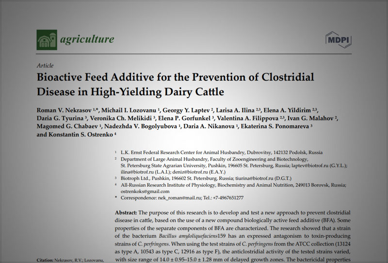 Bioactive Feed Additive for the Prevention of Clostridial Disease in High-Yielding Dairy Cattle