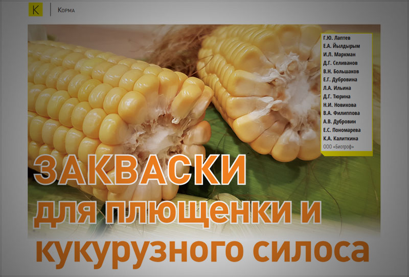 Закваски для плющенки и кукурузного силоса