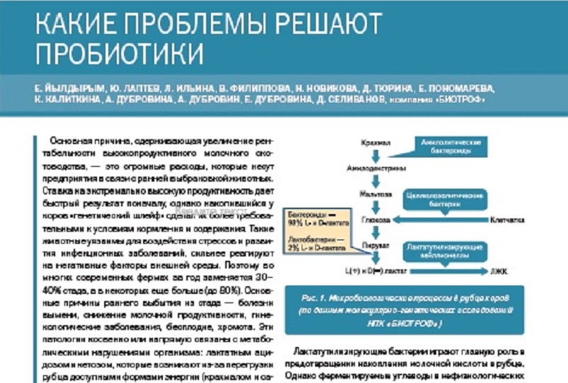 КАКИЕ ПРОБЛЕМЫ РЕШАЮТ ПРОБИОТИКИ.